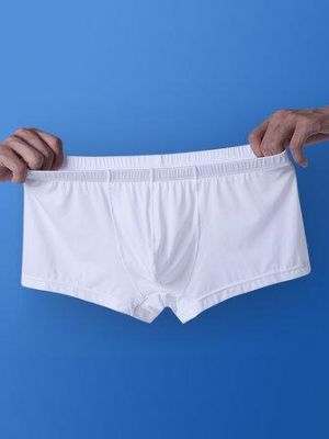 Thin Translucent Breathable Ice Silk Low Waist U Convex Boxers Briefs for Men