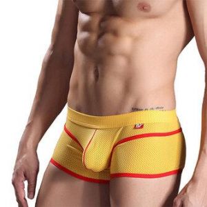 Mens Sexy Mesh Breathable Quick Drying Soft Boxers Underwear
