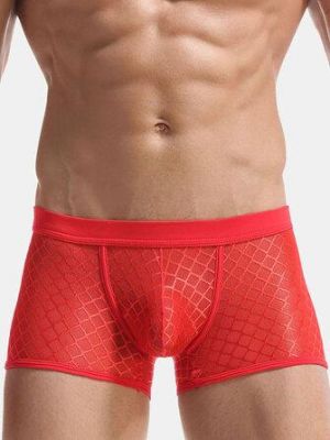 Through Mesh Boxer Briefs