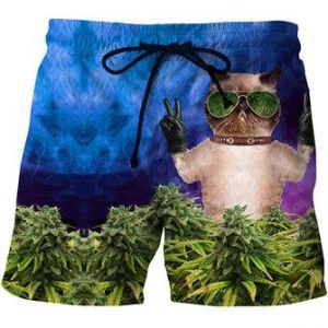 Mens 3D Glasses Cat Printing Summer Casual Beach Board Short