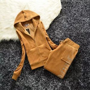 Spring /Fall 2021 Women's Elegant Velet Tracksuits Hoodies And Pants Sportswear Velour Suit Women Suit XS-XXXL 605
