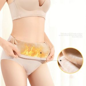 Autumn Winter Panties Plus Velvet Women's Underwear Thick Briefs Sexy Lingerie Seamless High Waist Panties Warm Underpants