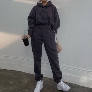 Hoodies Suit Winter Spring Solid Casual Tracksuit Women Fleece 2 Pieces Set Sports Sweatshirts Pullover Home Sweatpants Outfits