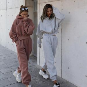 Tracksuits Women's Warm Hoodie and Pants Set Oversized Sportwear Tracksuit Set  Autumn Winter Suits On Fleece For Women y2k