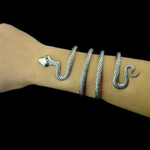 Circled Snake on Arm Open Bangle Evil Sign Charm Long Bracelet for Men Women