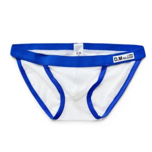 Transparent Mesh Briefs Sexy Underwear Gay Swimwear Sissy Lingerie For Men Beach Bathing Swimming Shorts Lined Gauze Swim Trunks