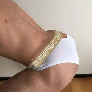 New Sexy Underwear Men Briefs Cotton Hollow Out Back Man Underpants Gay Low Rise Men's Panties Slip Homme Breathable OR6106