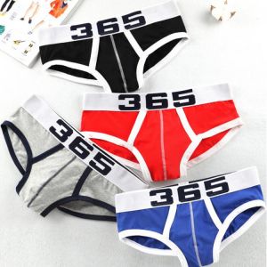 Hot Sale Men Underwear Sexy Men Briefs Mesh Breathable Comfortable Underpants U Pouch Male Panties Cueca Tanga Slip Homme