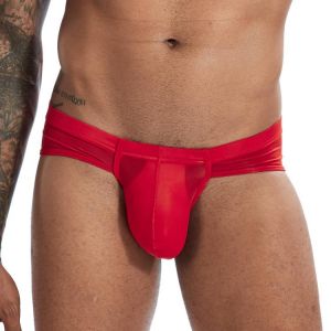 Sexy Men Underwear Sexy Ultra Thin Ice Silk Men's Briefs Penis Large Pouch Low Rise Slips Hombre Erotic Panties Underpants Cu