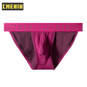New Arrival Cotton Sexy Men's Panties Underwear Man Low Waist Slip Gay Men Underpants Jockstrap Men's Briefs Clothes BS3