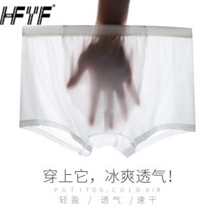 Big Discount Minato Single Area Men's Ice Silk Underpants Seamless Boxer Pants Ultra-thin One-piece Youth Four-corner Breatha