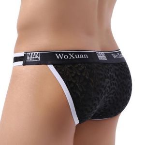 Sexy Mesh Men Underwear Briefs Pouch Cuecas Man Panties Mesh Underpants Sexy Fashion Men Underwear