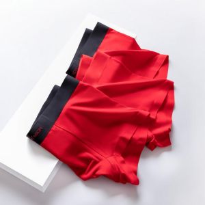 2Pcs Hot Modal Gay Sexy Men's Panties Boxers Shorts Underpants Low Waist Innerwear Man Underwear Boxer Men Masculinas
