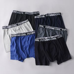 100% Merino Wool Men Underwear Man Boxer briefs Underpants Underwear Quick drying Breathable Soft