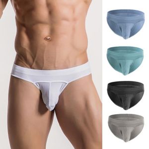 New Sexy Men Underwear Ultra Thin Ice Silk Men's Briefs Penis Large Pouch Low Rise Slips Hombre Erotic Panties Underpants Cue