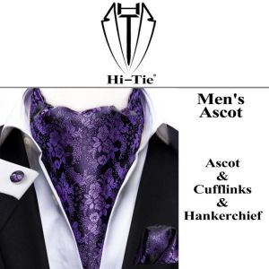Hi-Tie Silk Men's Ascot Tie Pocket Square Cufflinks Set Cravat Ascots Scrunch Self British Style Gentleman Dress Scarves Part