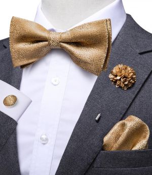 Hi-Tie Fashion Luxury Gold Business Wedding Bowties for Men Prooch Pocket Square Cufflinks Set Silk Bow Tie Necktie for Wedding