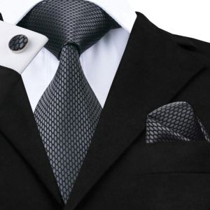 Hi-Tie New Clasic Grey Tie for Men Silk Fabric Jacquard Woven Tie Hanky Cufflinks Set for Men Designer Fashion Silk Ties SN-1466
