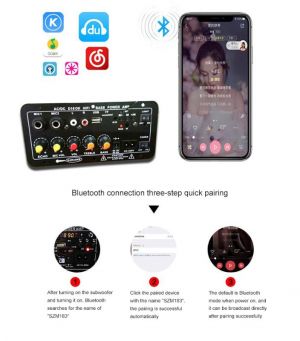AC 220V 12v 24v Subwoofer Dual Microphone Karaoke Amplifiers Digital Bluetooth Stereo Amplifier Board For 8-12 Inch Speaker