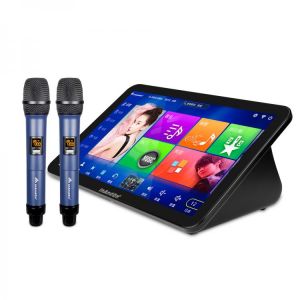 InAndOn 15.6 inch 2TB All in one Karaoke Machine KTV  Player With Wireless Microphone