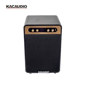 Indoor Professional Theater Home 8 Inches Black Party Audio BT Speakers