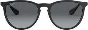 Ray-Ban Women's Rb4171 Erika Round Sunglasses
