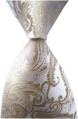 Secdtie Men's Paisley Ties Jacquard Woven Handmade Unique Designer Neckties