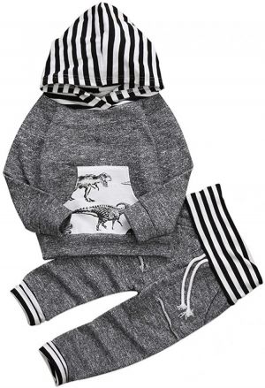 Toddler Infant Baby Boys Dinosaur Long Sleeve Hoodie Tops Sweatsuit Pants Outfit Set