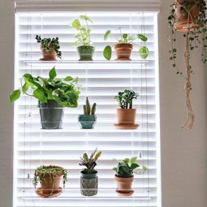 Bathroom Or Kitchen Window Plant Shelf Hanging Shelf Plant Shelves Lightweight Transparent Plant Stand Indoor Garden Decor 2021
