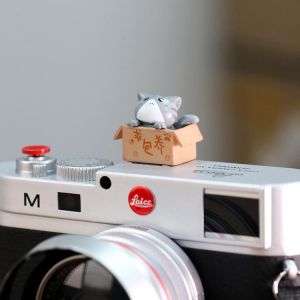 3D Cartoon Camera Hot Shoe Cover Cute Cat DSLR Hot Shoe Dustproof Cap for Canon Nikon Fujifilm Samsung Panasonic Leica Olympus