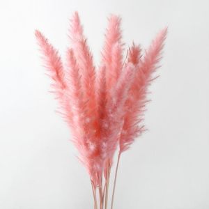 10PCS Bulrush Natural Dried Flowers Artificial Plants Branch Pampas Grass Phragmites Fake Flower Wedding Vase Home Decor