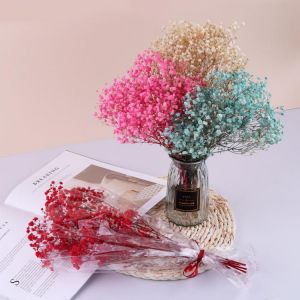 Mini Gypsophila Dried Flowers Natural Babysbreath Preserve Floral  Plant Bouquet Wedding Party Home Backdrop Decor DIY Craft