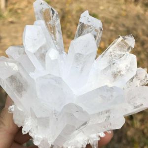 Natural Rare White Quartz Crystal Cluster Mineral Specimen Healing