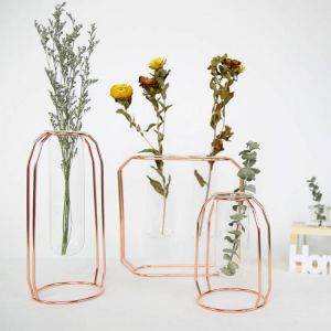Glass Vase with Metal Frame Rose Gold Frame Cylinder Clear Vase Planter Terrariums Flower Holder for Party Office Home Decor