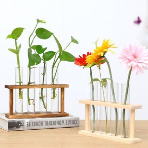 Wooden Frame Hydroponic Container Glass Test Tube Vase Hydroponic Green Radish Dried Flower Plant Flower Home Decoration