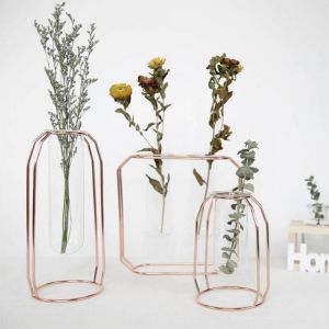 Nordic Style Glass Flower Pot Iron Line Vase Hanging Test Tube Flower Vases Rose Gold Desk Flowerpots Plant Holder Home Decor
