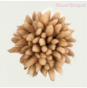 10PCS Rabbit Tail Grass Natural Dried Flowers For Home Decoration  Flower Arrangement Real Flower Grass Props