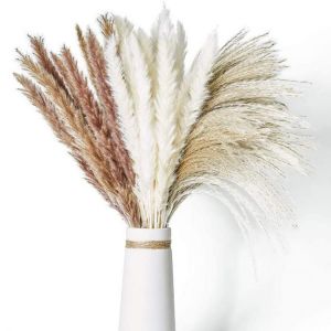 30Pcs Dried Flowers Pampas Grass Natural Plants Bouquet Lagurus Ovatus Flores Secas Wedding Home Easter Decoration Photo Props