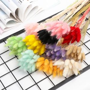 Hot Sell 20Pcs/lot Natural Dried Flowers Rabbit Tail Grass Bunch Colorful Lagurus Ovatus Real Flower Bouquet Home Wedding Decor