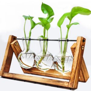 Transparent Vase Plant Wooden Frame Water Planting Flower Pot Flower Arrangement Container Desktop Decoration Stall Decoration