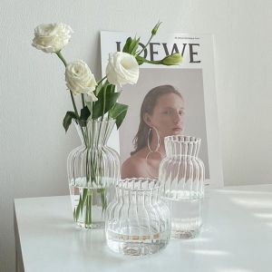 Transparent Glass Vases for Plant Bottle Flower Pot Nordic Creative Hydroponic Terrarium Arrangement Container Flower Table Vase