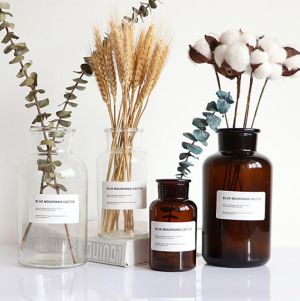 48h Clear Glass Vase Small Brown Bottle Flower Vase Nordic Decoration Home Dried Flower Hydroponic Terrarium Decor Glass Decor