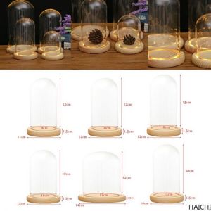Decorative Transparent Glass Bell-Shaped Jar Display Cabinet, Hand-Made Protective Cover.