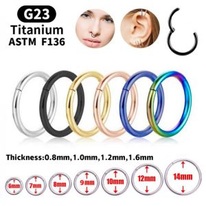 1Pc G23 Titanium Hinged Segment Nose Ring Open Small Septum Piercing Nose Earrings Women Men Ear Nose Piercing Body Jewelry