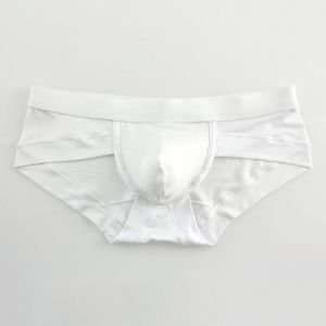 all in one place בגדי גברים Mens Low Waist U Convex Pouch Comfy Sexy Underwear Briefs