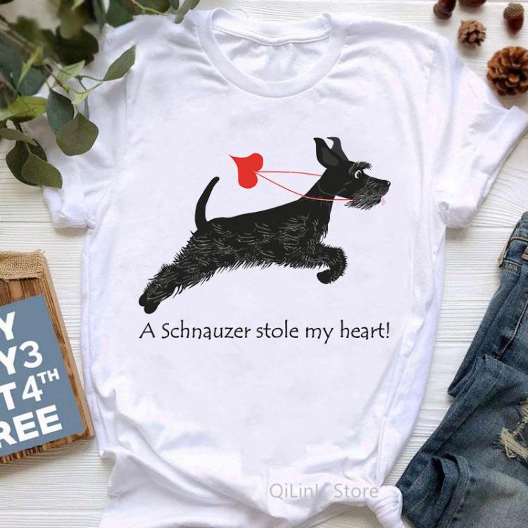 all in one place בגדי נשים A Schnauzer Stole My Heart Funny Graphic T Shirts Women Summer White Short Sleeve Casual T-Shirt Ladys Girls Top Dog Lover Gift