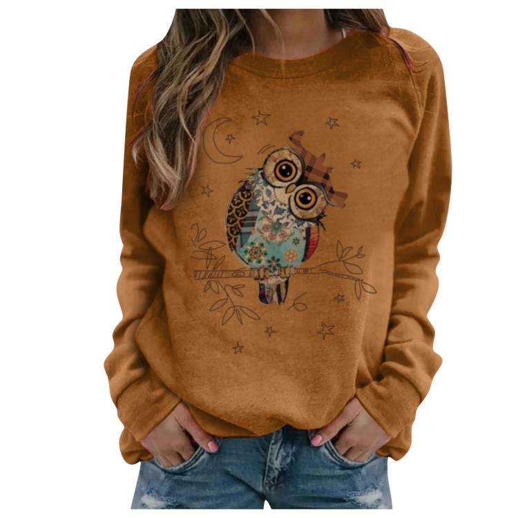 all in one place בגדי נשים Oversized Streetwear Casual 2021 Autumn Winter Women's Cute Owl Print Long-sleeved Sweatshirt Casual Blouse Pullover Female
