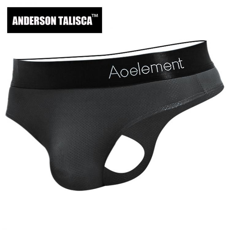 all in one place בגדי גברים ANDERSON TALISCA Brand New Mens Briefs Underwear Men Brief Silk Mesh Ropa Interior Hombre Man Cueca Masculina Size L-3XL 215KM