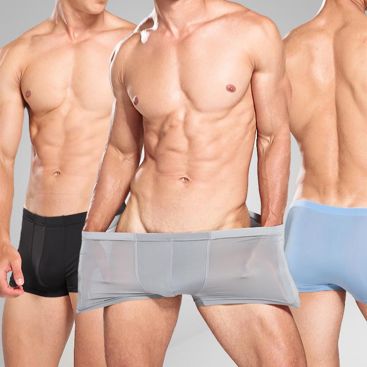 all in one place בגדי גברים 2021 Summer Ice Silk Men Underwear Seamless Transparent Boxer Shorts Ultra Thin Sheer Breathable Comfortable Panties Underpants