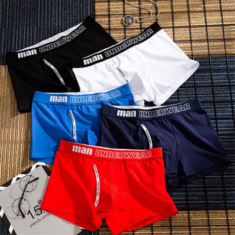 all in one place בגדי גברים Male Panties Cotton Mens Underwear Breathable Man Boxers Solid Underpants Soft Comfortable U Convex Pouch Men Shorts